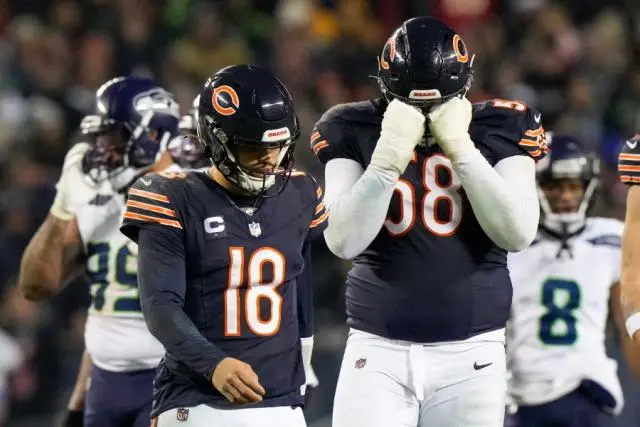 Bears betting