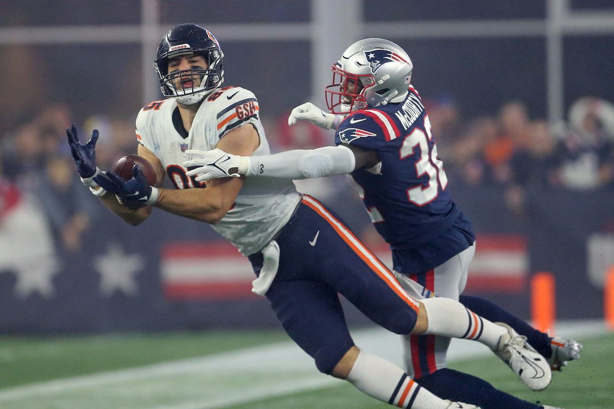Bears betting action