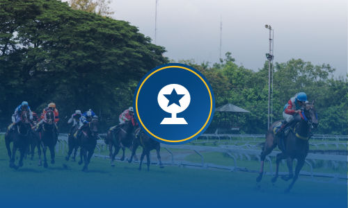 Grand national betting