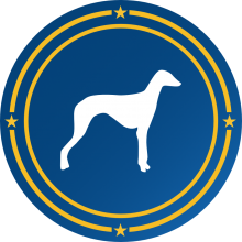 Greyhound Sports Betting
