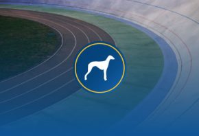 Greyhound image 0