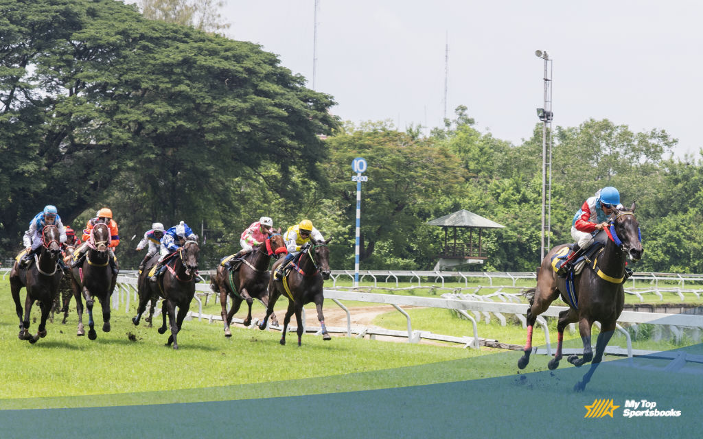 How to Bet on Horse Races