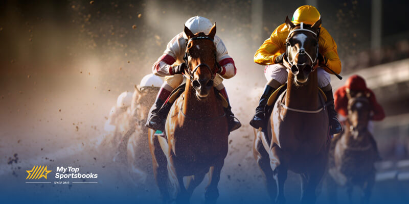 How to Bet on the Preakness Stakes — Top Tips to Win