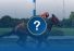 How to bet on horse racing