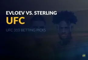 UFC 310 Evloev vs Sterling Betting Picks