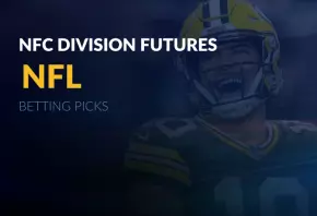 2024 nfc division futures picks