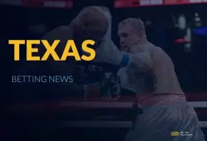 Paul vs. Tyson Betting