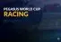 Pegasus World Cup Stronghold betting value