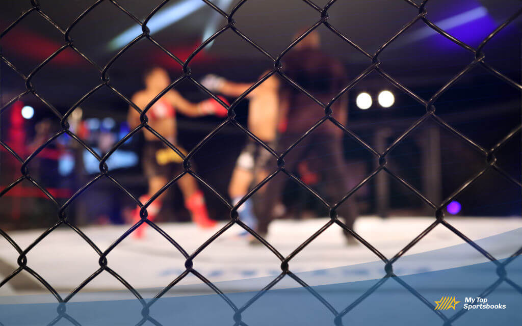 ufc odds