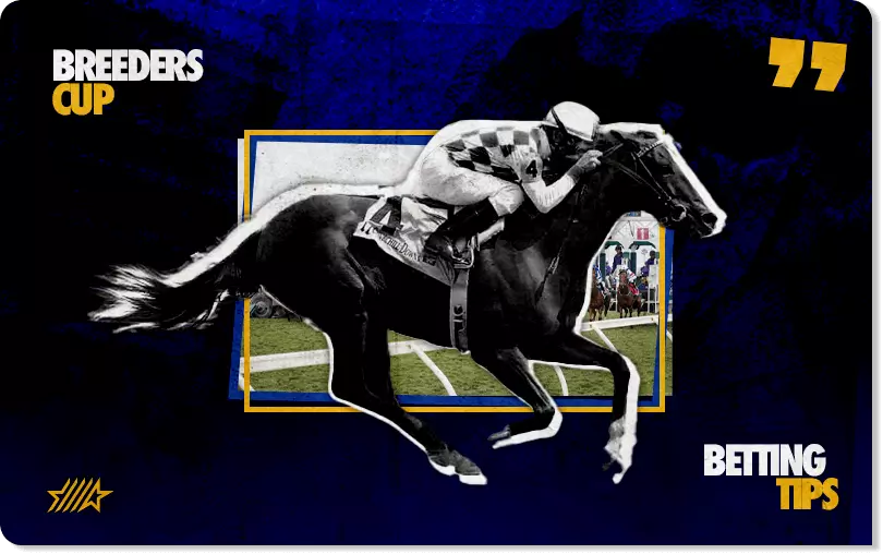 best breesers cup tips