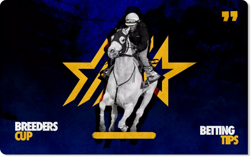 breeders cup betting tips