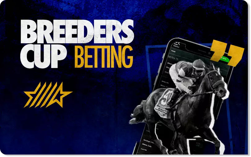 how to bet on horse racing