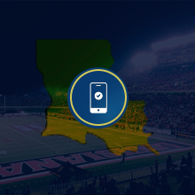 state-icon