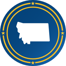 state-icon