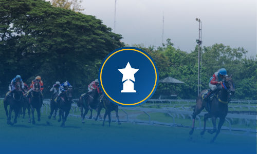 preakness stakes betting