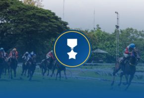Horses image 1